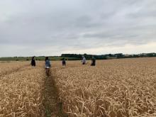 UCL students visit August Farms (home of Trust Chair)